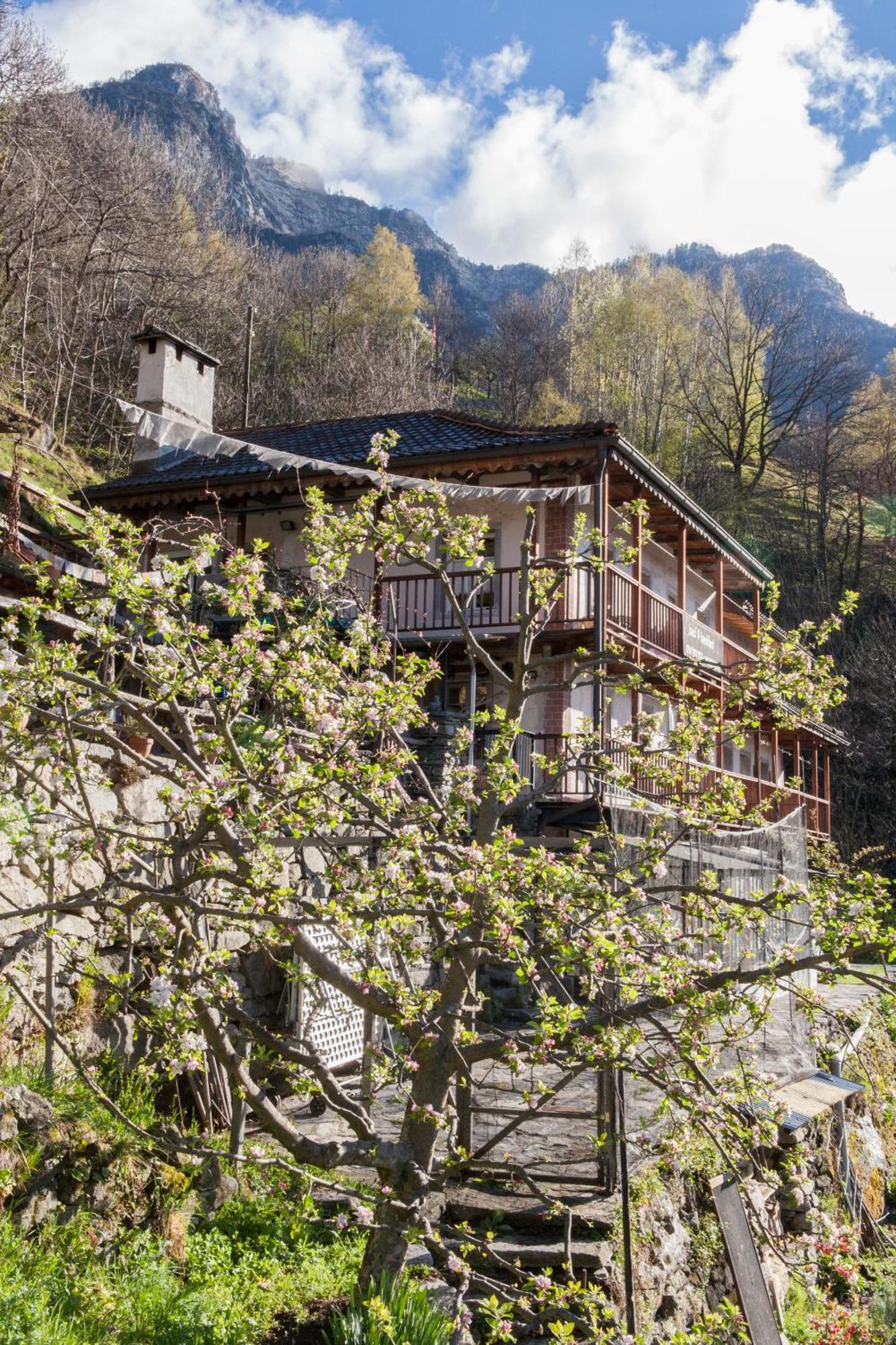Bed And Breakfast Da Toldo Russo Exterior photo